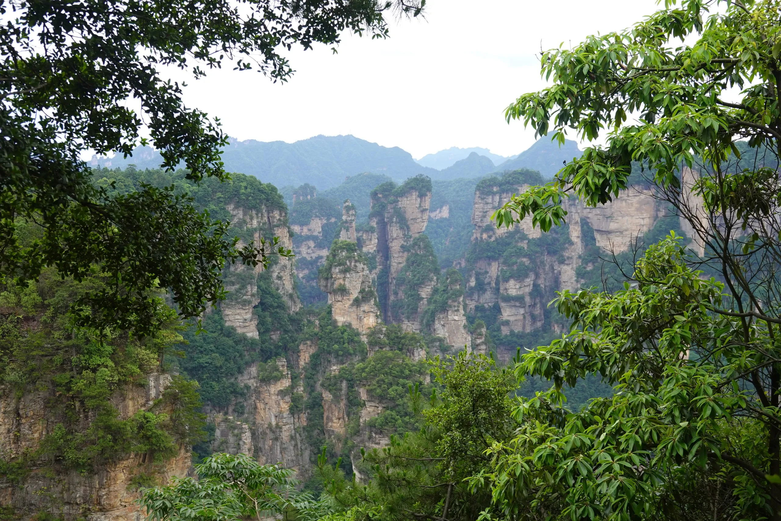 Forested karst mountain pillars in mist